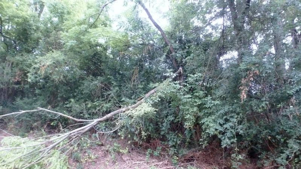 Následky extrémneho počasia v Nitrianskom kraji