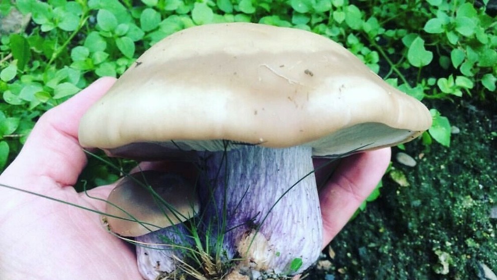 Archívna snímka Erika Valentoviča.