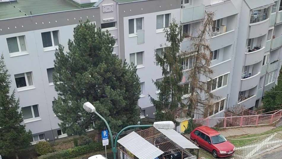 426819106_7999157200101011_3075120800010229315_n