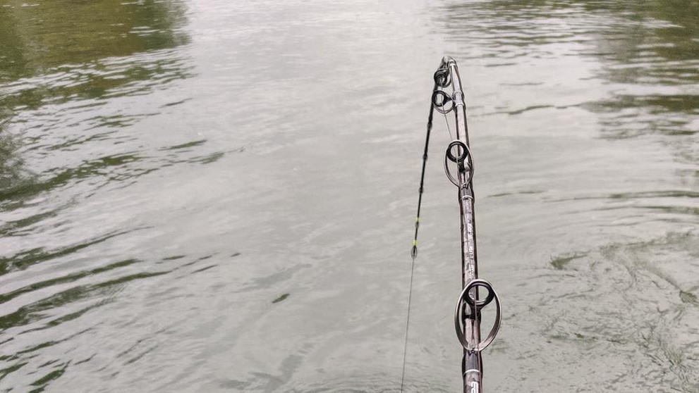 Francúz chytil rekordného sumca.