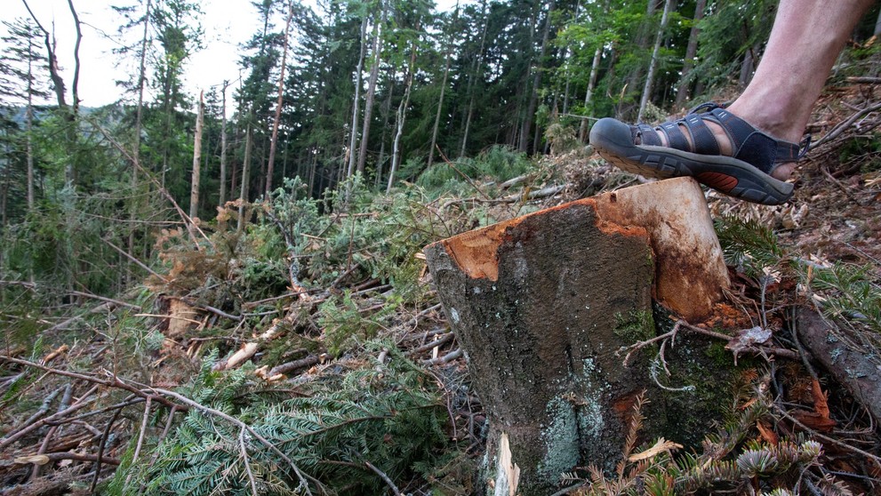 Ťažba v Nízkych Tatrách