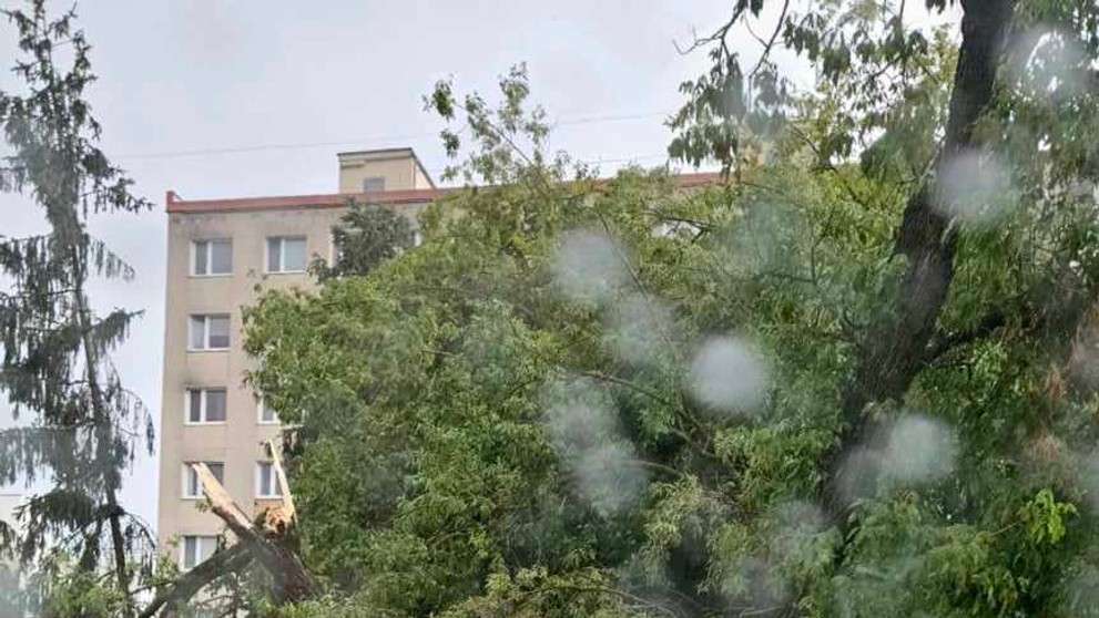 Padnutý strom vo Zvolene