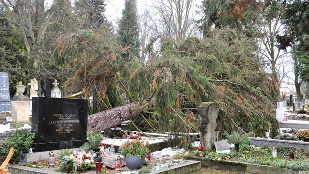 Spadnutý strom po veternej smršti na Národnom cintoríne v Martine.