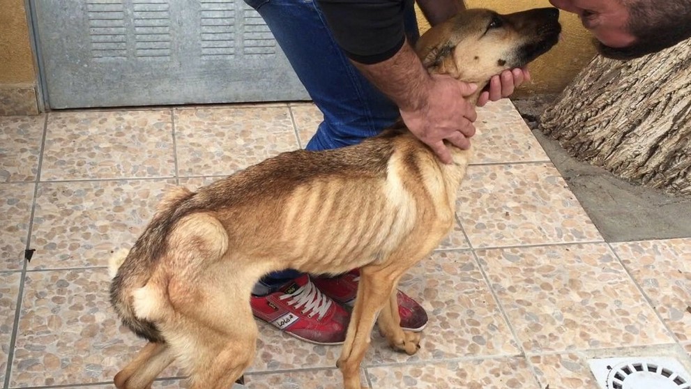 Barille trčali kosti.