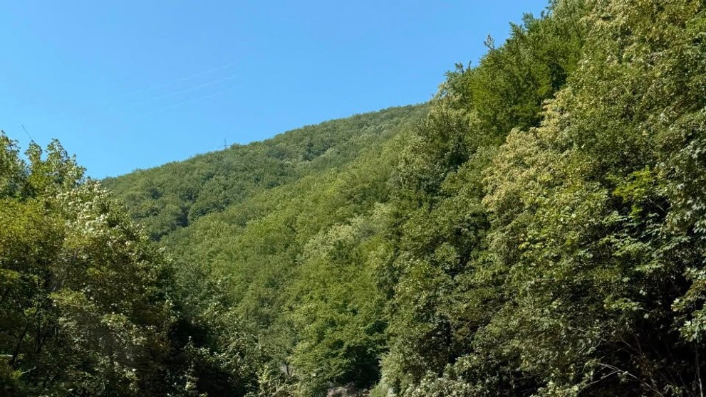 Červený asfalt
