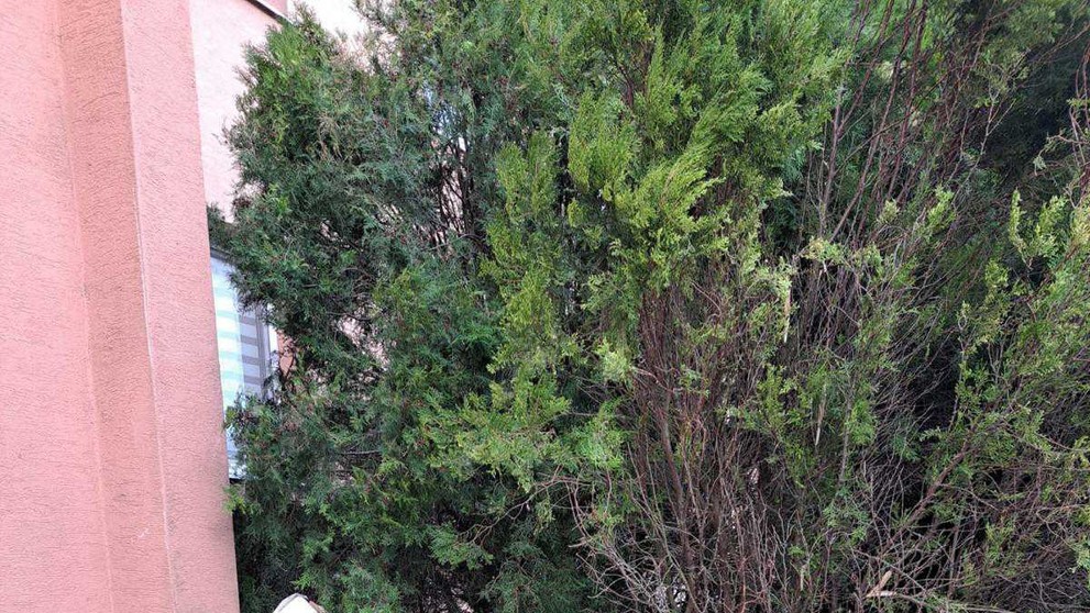 Silný vietor v Trnave strhol kusy zateplenia