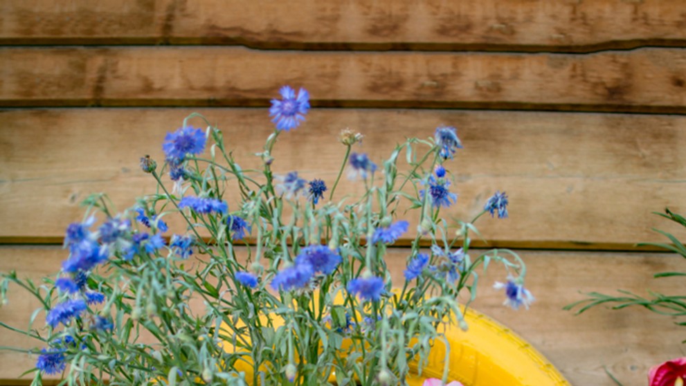 Ilustračná snímka.