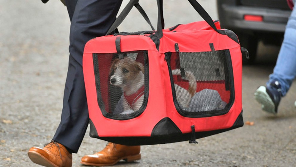 Priateľka britského premiéra Borisa Johnsona Carrie Symondsová.