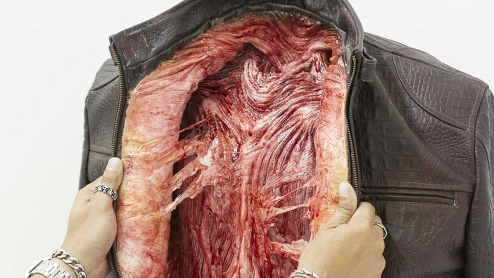 Kontroverzný projekt na ochranu práv zvierat.