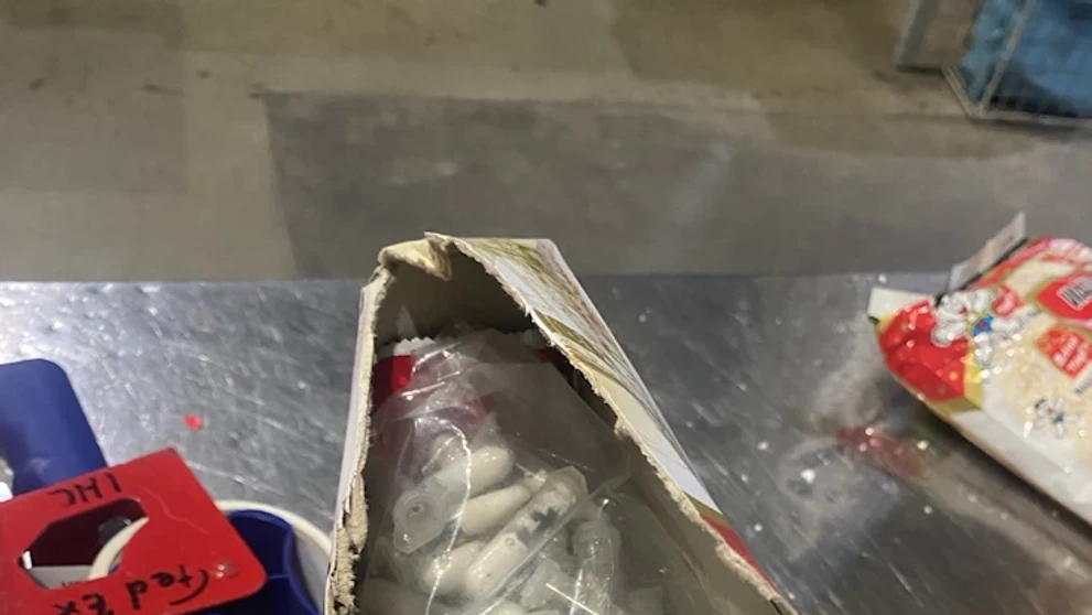 Zaistené jedovaté pavúky