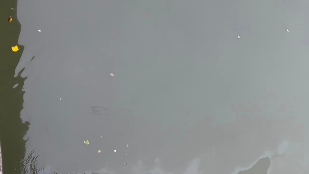 znečistený Malý Dunaj