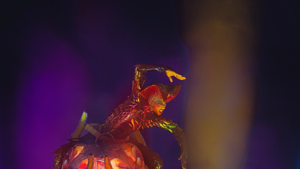 Škola Viaduoro počas karnevalu v Riu 2024.