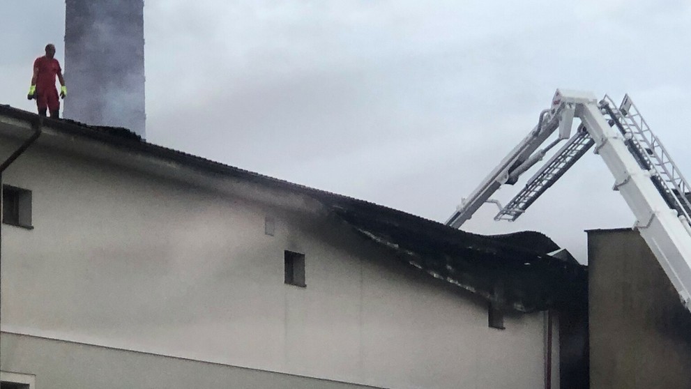 kocis mast.jpg_bez_watermarku_1.jpg