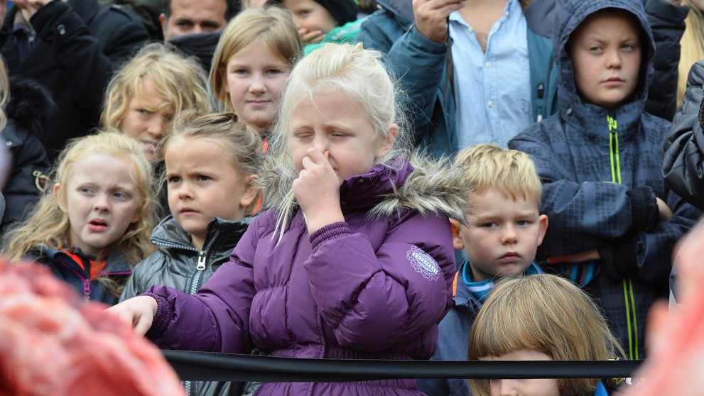 Verejná pitva leva.