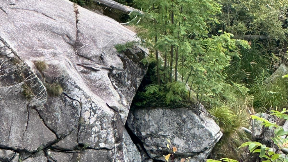 Turisti v Studenom potoku