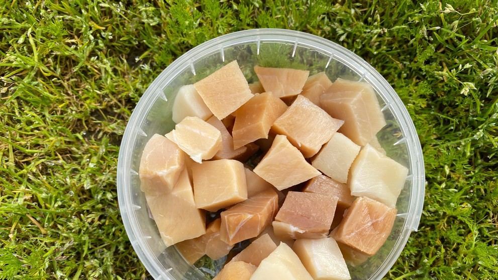 Hákarl - fermentovaný žralok.