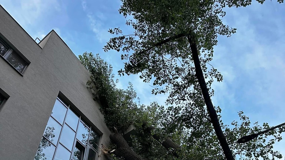 Spadnutý strom poškodil bytovku v Bratislave.