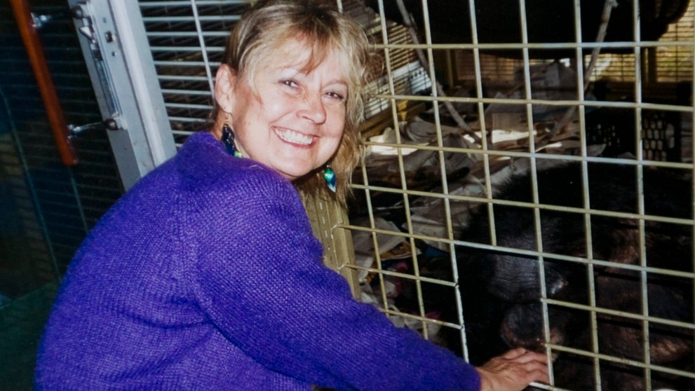 Na ženu zaútočil šimpanz.