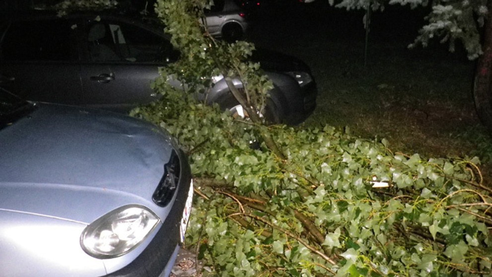 Na snímke polámané stromy po búrke v okrese Bánovce nad Bebravou.