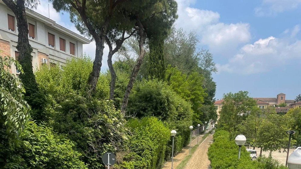 Vysokoškoláčka pomáhala vo Forli