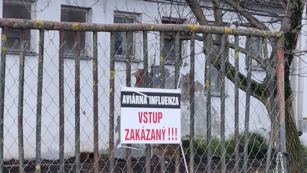 Vtáčia chrípka na farme Čalovec