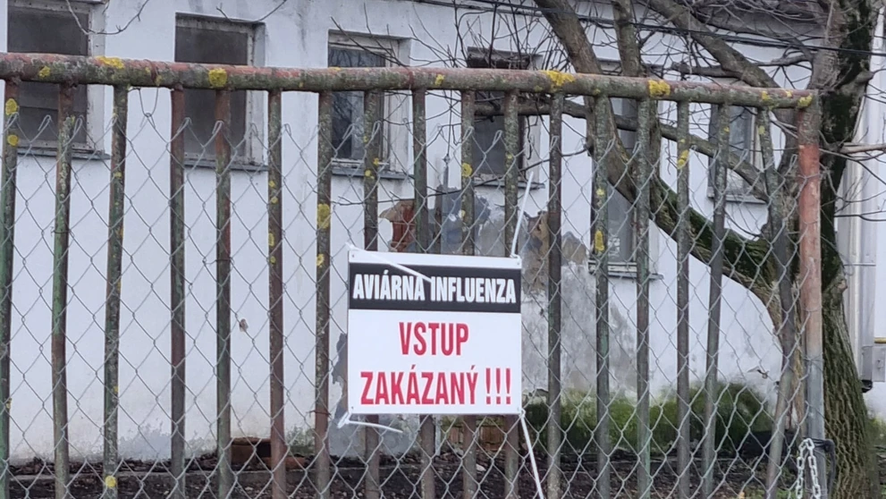 Vtáčia chrípka na farme Čalovec