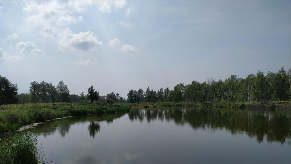 Úchvatný pohľad z domčeku farmára týždňa