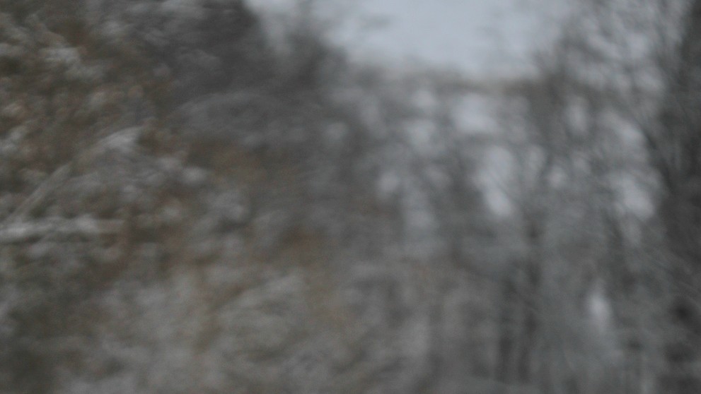 Bocian biely zachytený v sedle Zbojská 