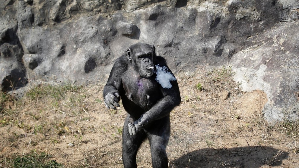 Je ťažká profesionálka.