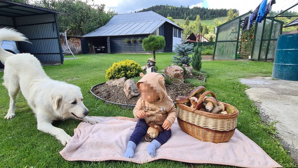 Jozef z Bánoviec nad Bebravou