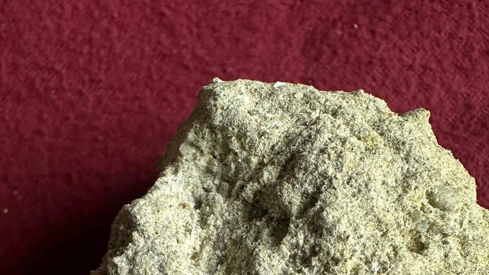 Jakub našiel zub žraloka starý takmer 14 miliónov rokov.