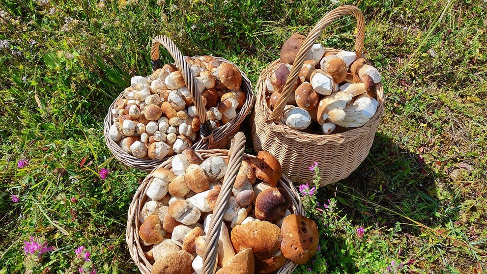 Fero Babiar odchádzal zo Spišskej Magury s troma plnými košmi.