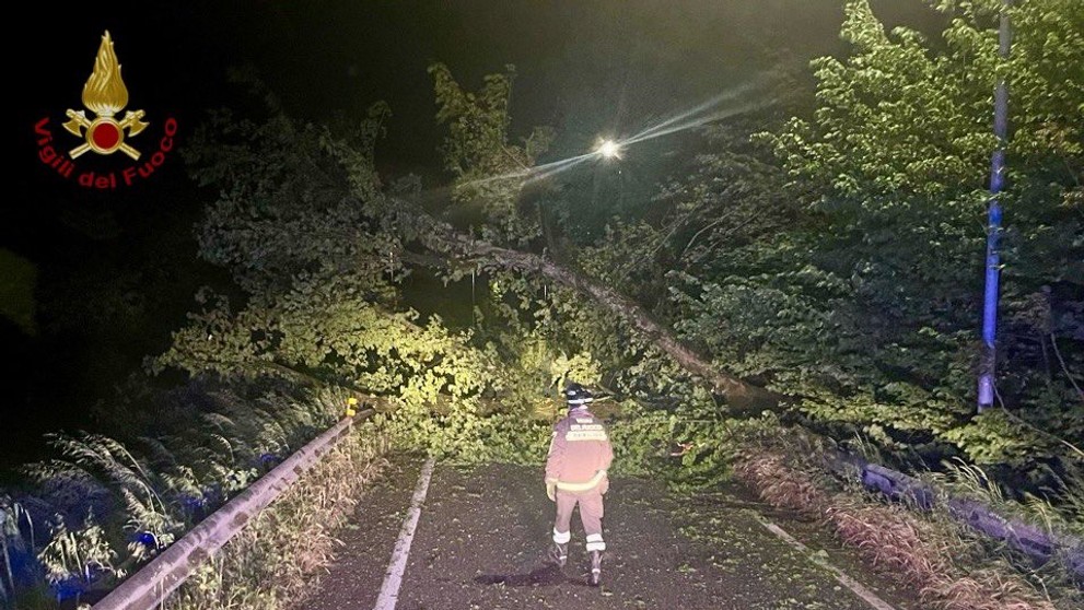 Cestu pri talianskom meste Maltempo zatarasili popadané stromy.