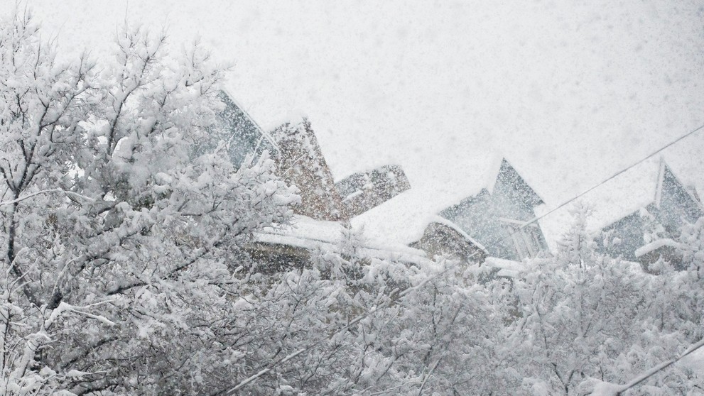 Snehová kalamita v Bratislave 30. januára 2015.jpg