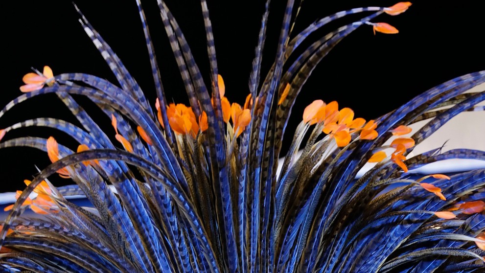 Karneval v Sao Paolo