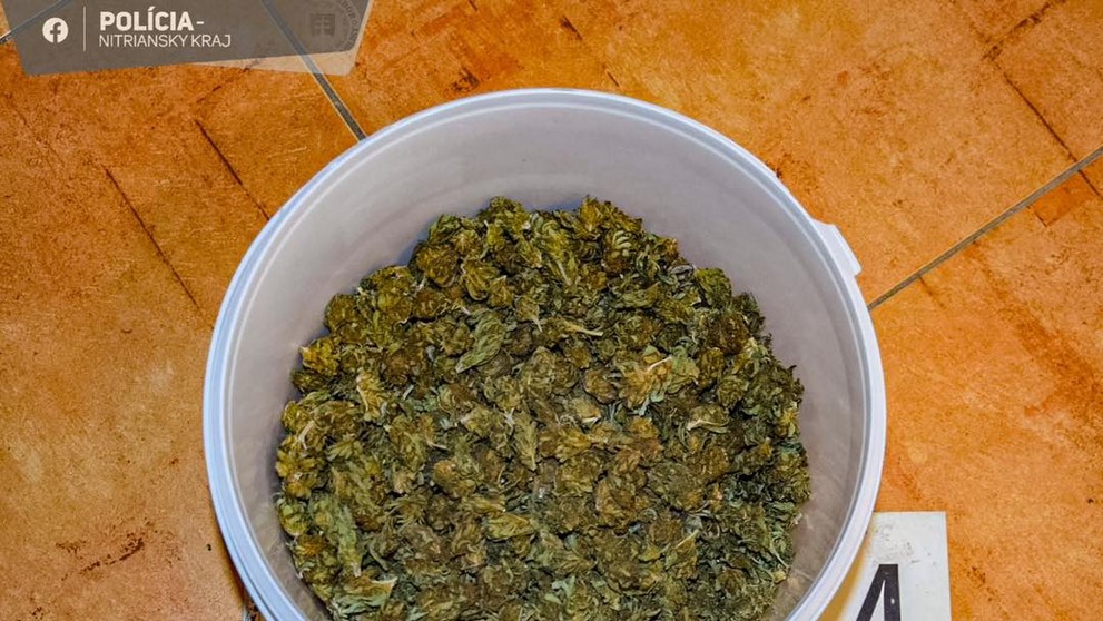 Čo zaistili policajti