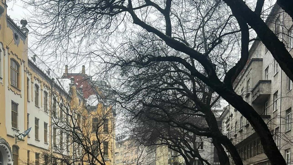 Na Grosslingovej ulici sa zrútil mohutný strom