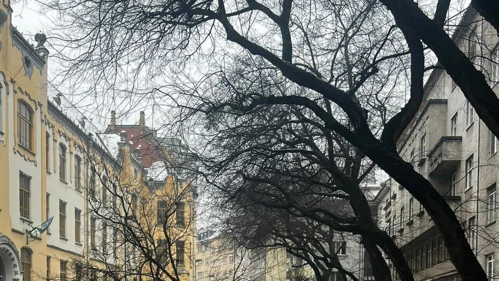 Na Grosslingovej ulici sa zrútil mohutný strom