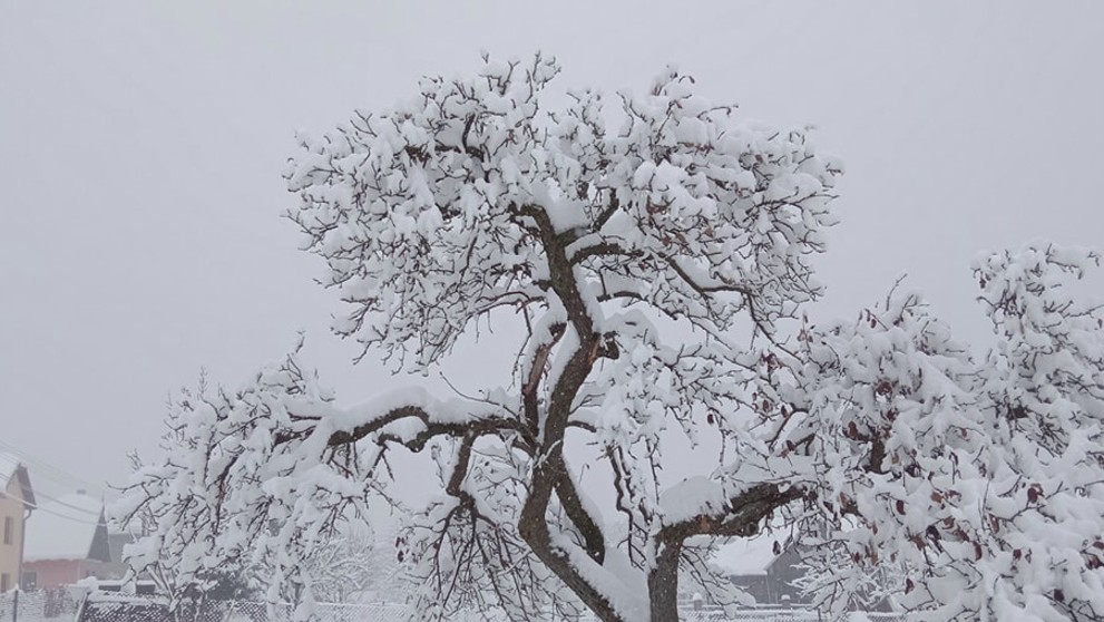 Bacúch v okrese Brezno
