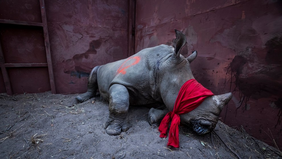 World Press Photo 2018