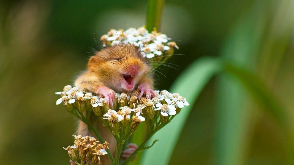 Keď musíš, tak musíš.