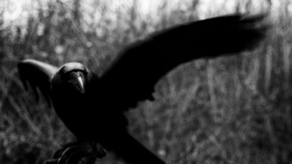 Fotografia z projektu MOMENT.