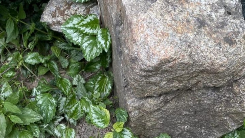 Predmet, ktorý zadržala polícia počas domovej prehliadky u muža, ktorý sa vyhrážal zamestnancovi univerzity v Bratislave.