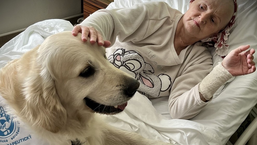 Psíci rozdávajú radosť vo zvolenskej nemocnici.