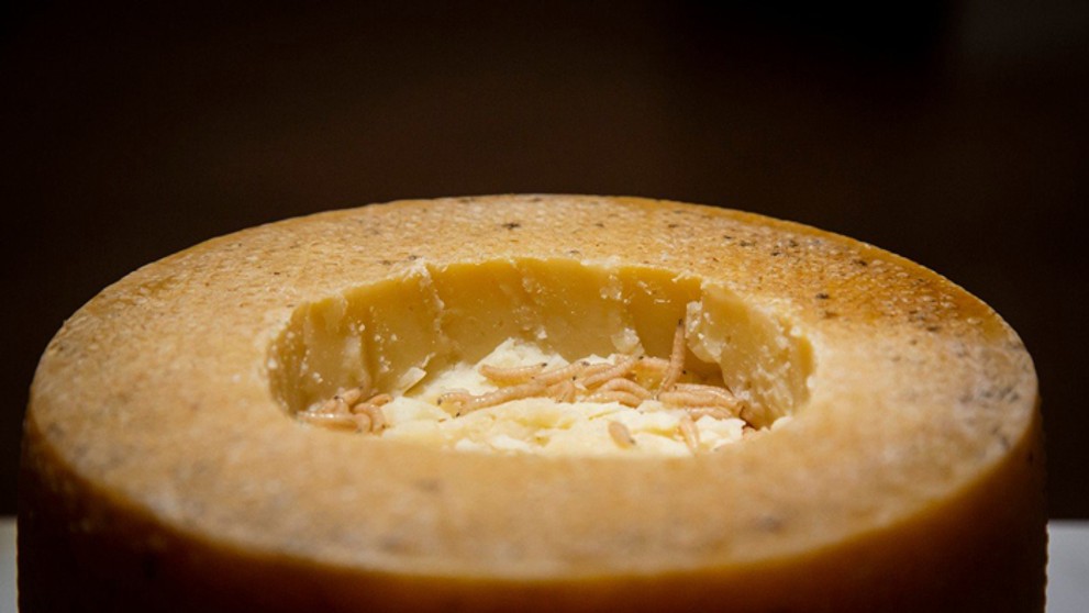 Casu marzu - syrový bochník zo Sardínie plný červíkov.