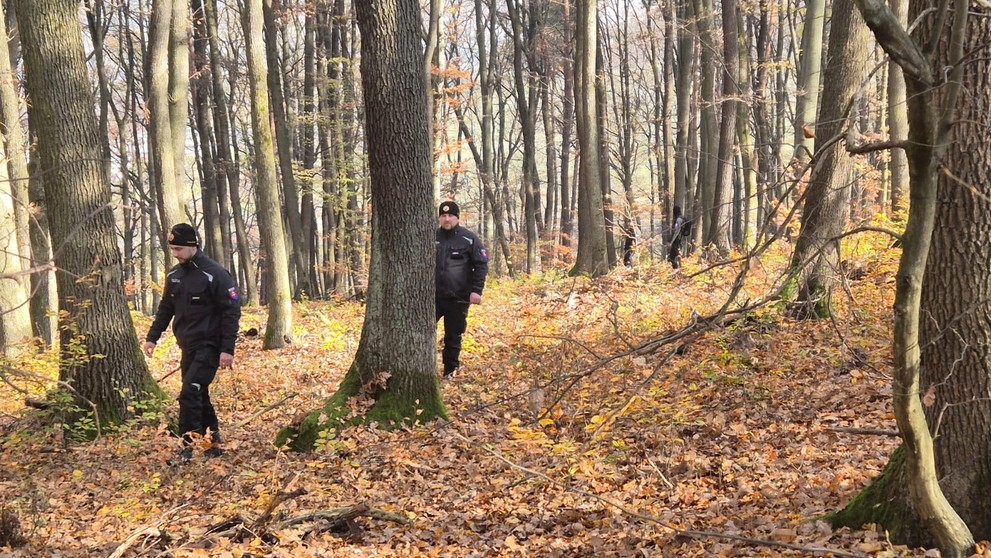 Pátracia akcia na východe Slovenska.