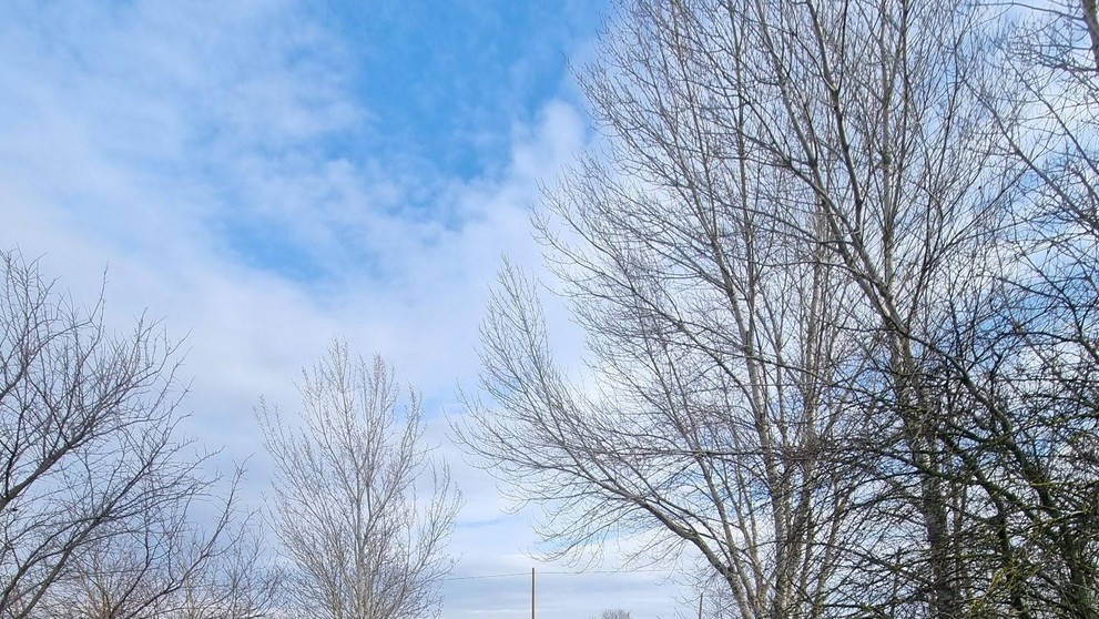 Vtáčia chrípka na farme Čalovec