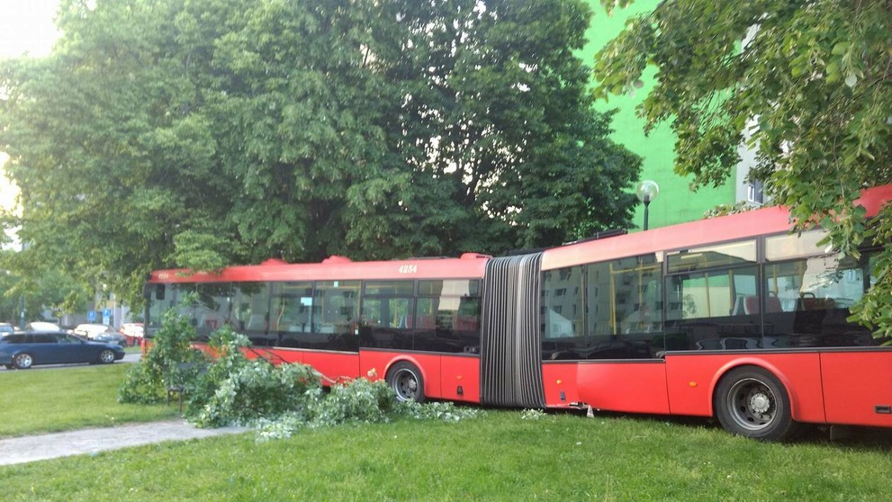 Autobus bez kontroly zastavili až stromy.