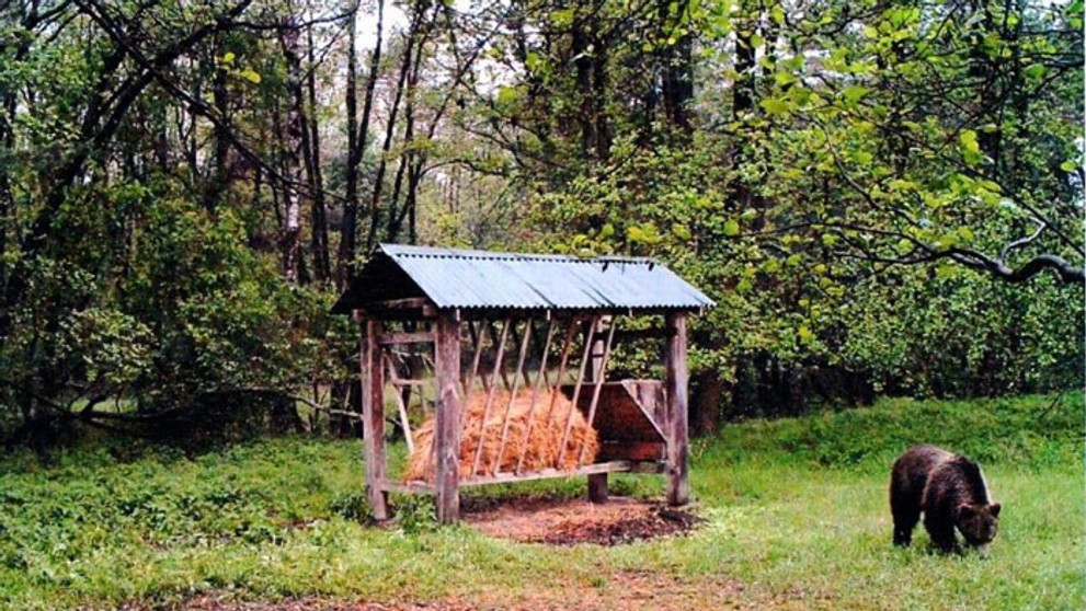 Dôchodca Luigi slepo dôveroval navigácii.  