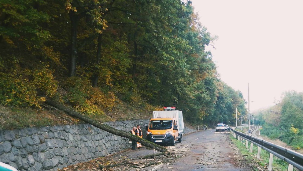 Šťastie v nešťastí